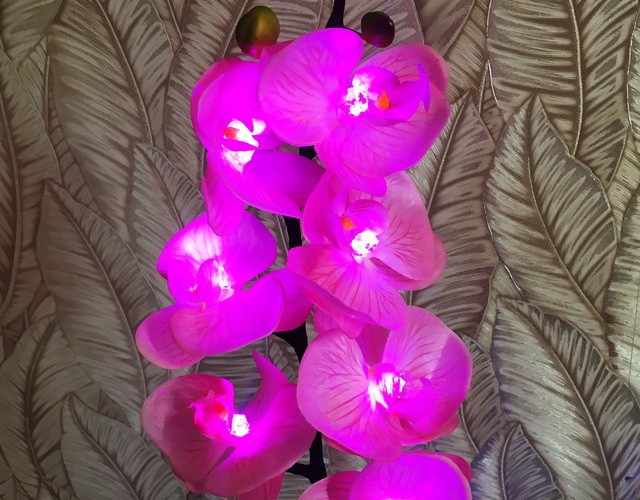 Купить с доставкой цветочный светильник-ночник светодиодные орхидеи в вазе ✨ LED Forms